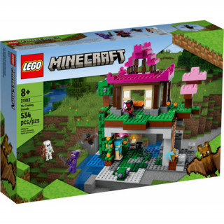 LEGO Minecraft Prostor za vježbu (21183) Merch