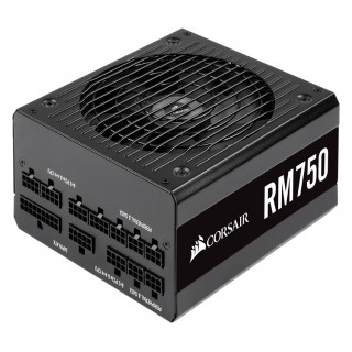 Corsair RM Series RM750 2019, 750W ATX 2.52 napajanje (CP-9020195-EU) PC