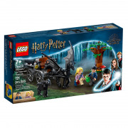 LEGO Harry Potter Hogwarts: kočija i testrali (76400) 