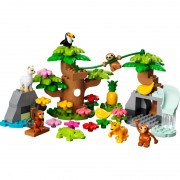 LEGO DUPLO Divlje životinje Južne Amerike (10973) 