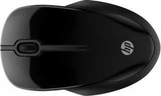HP 250 Dual Mouse PC
