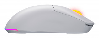 HATOR Quasar 3 Wireless miš Igranje Ambidekster RF Wireless + Bluetooth + USB Type-A Optički 12000 DPI PC