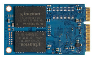 Kingston Technology KC600 mSATA 256 GB Serijski ATA III 3D TLC PC