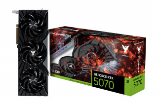 Gainward GeForce RTX 5070 Phoenix NVIDIA 12 GB GDDR7 PC