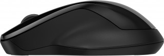 HP 250 Dual Mouse PC