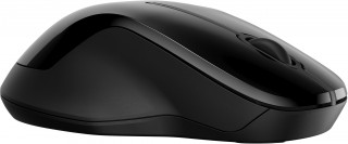 HP 250 Dual Mouse PC