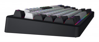 HATOR Rockfall 3 TKL Wireless tipkovnica Igranje USB + RF Wireless + Bluetooth QWERTY Ukrajinski Crno PC