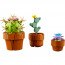 LEGO® Icons Sitne biljke (10329) thumbnail