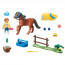 Playmobil Kolekcionarski poni - "Welsh pony" (70523) thumbnail