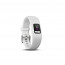 Garmin vivofit White (S/M) 010-01847-11 thumbnail