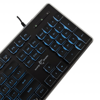 WHITE SHARK TACHI-B/US WS GK-003141B-US gaming tipkovnica, 104 tipke crna (engleski) PC