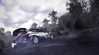 WRC 10 FIA World Rally Championship PC
