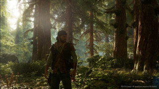 Days Gone  PS4