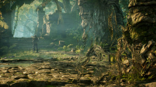 Predator: Hunting Grounds PS4