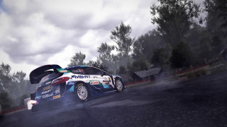 WRC 10 FIA World Rally Championship PS4