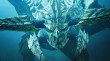 Monster Hunter Wilds + Steelbook thumbnail