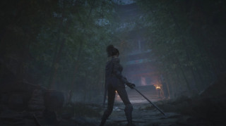 WUCHANG: Fallen Feathers Day 1 Edition PS5