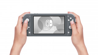 Nintendo switch lite gray on sale price