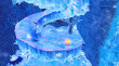 Kirby and the Forgotten Land + Star-Crossed World - Nintendo Switch 2 Edition thumbnail